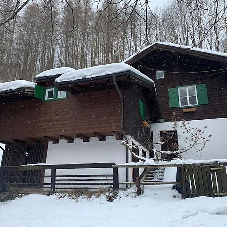 Вилла Kleine Alpenhuette In Lend 2024 Neben Der Salzach Экстерьер фото