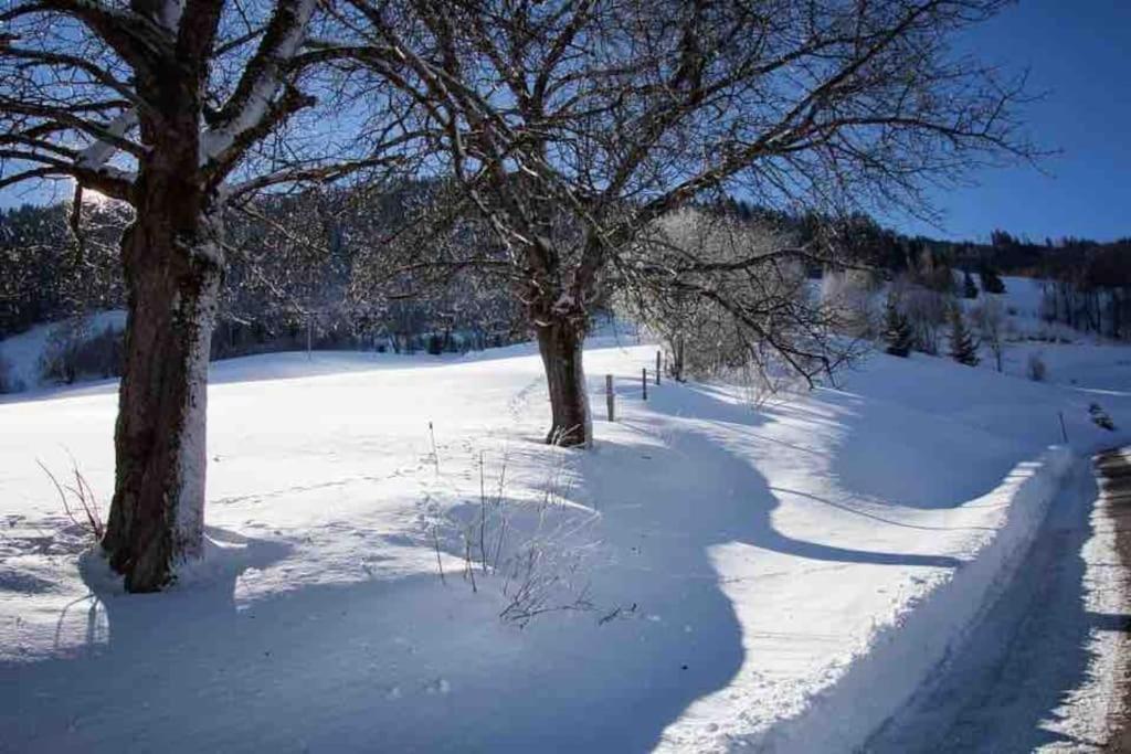 Вилла Kleine Alpenhuette In Lend 2024 Neben Der Salzach Экстерьер фото