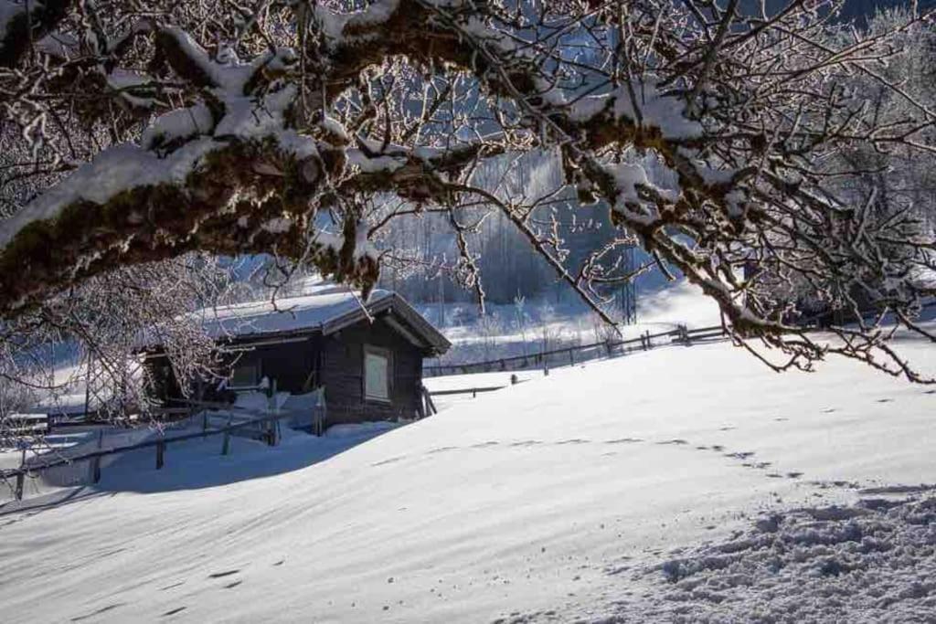 Вилла Kleine Alpenhuette In Lend 2024 Neben Der Salzach Экстерьер фото